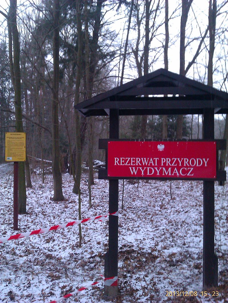 IMAG0594.1.jpg