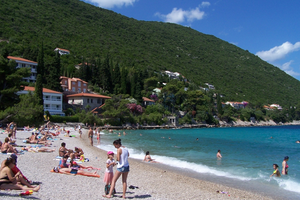 104_9690 (1024x682).jpg