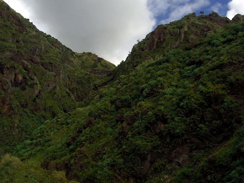 P21G0476.JPG P21G0476.JPG