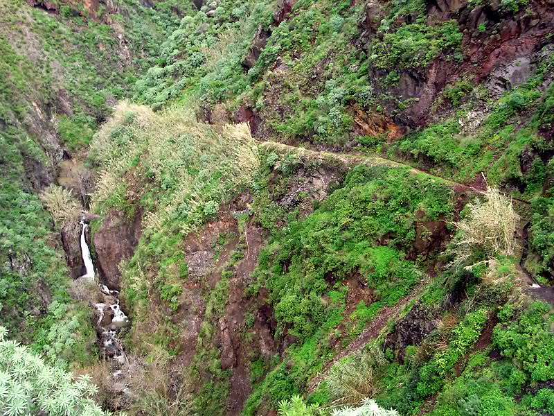 P21G0479.JPG P21G0479.JPG