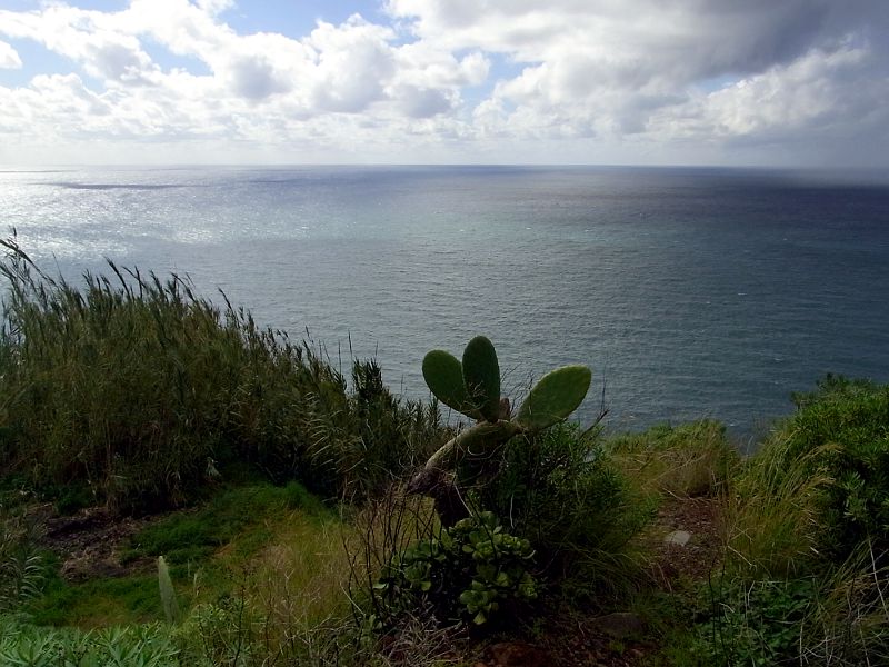 P21G0480.JPG P21G0480.JPG