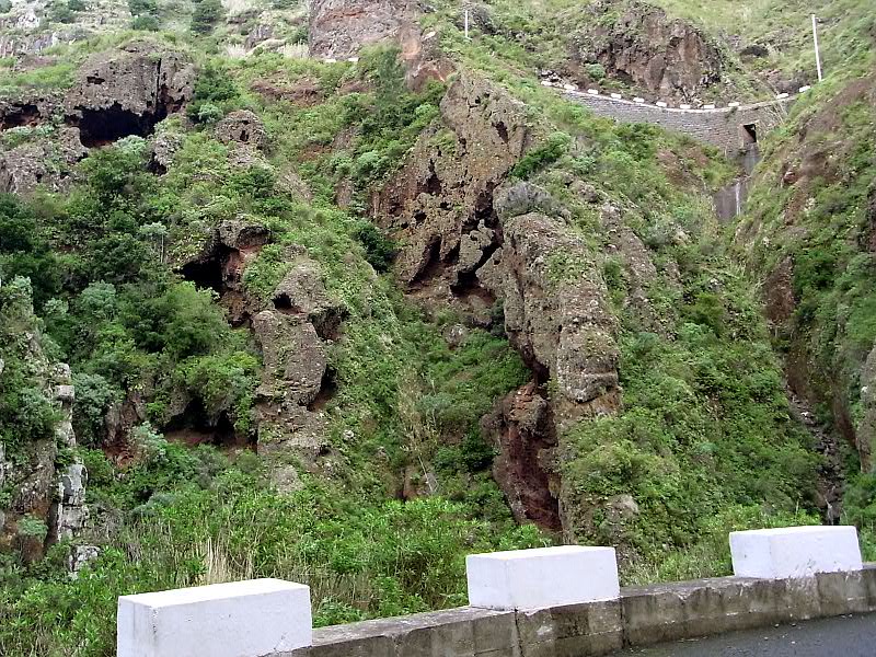 P21G0482.JPG P21G0482.JPG