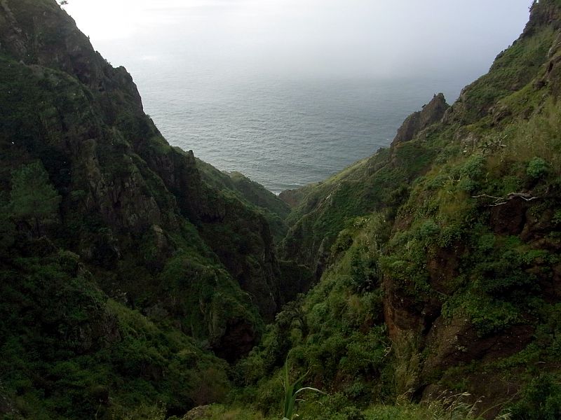 P21G0483.JPG P21G0483.JPG