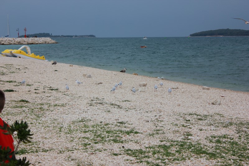 IMG_0689 (Kopiowanie).JPG