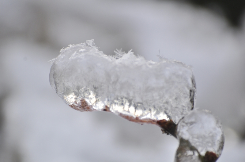 _DSC0020.jpg