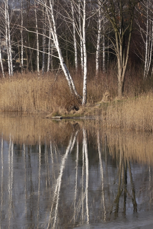 _DSC1856.jpg