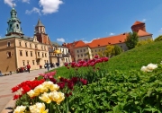 Wawel
