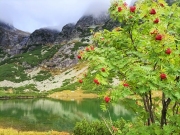 Jesień idzie, nie ma na to rady